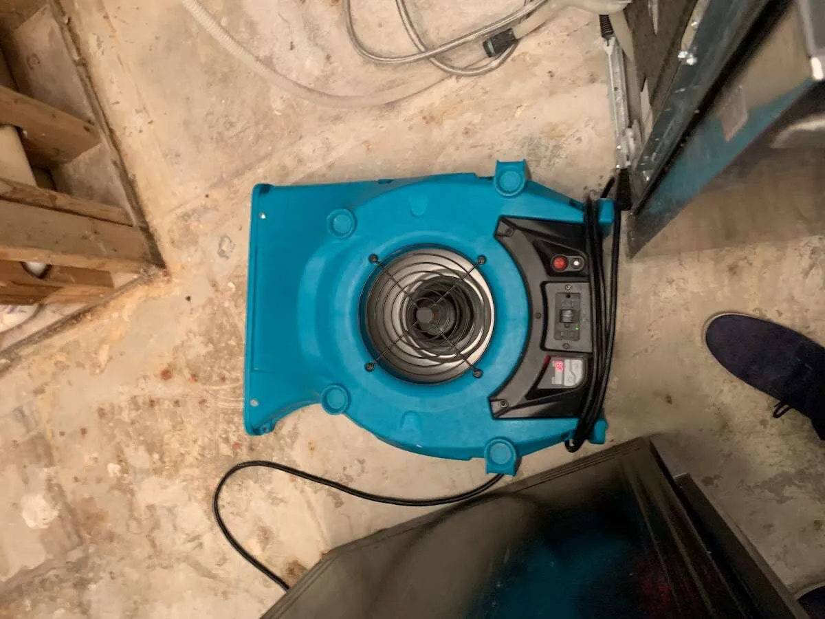 Air mover drying equipment for Mold Remediation & Removal in Giddings