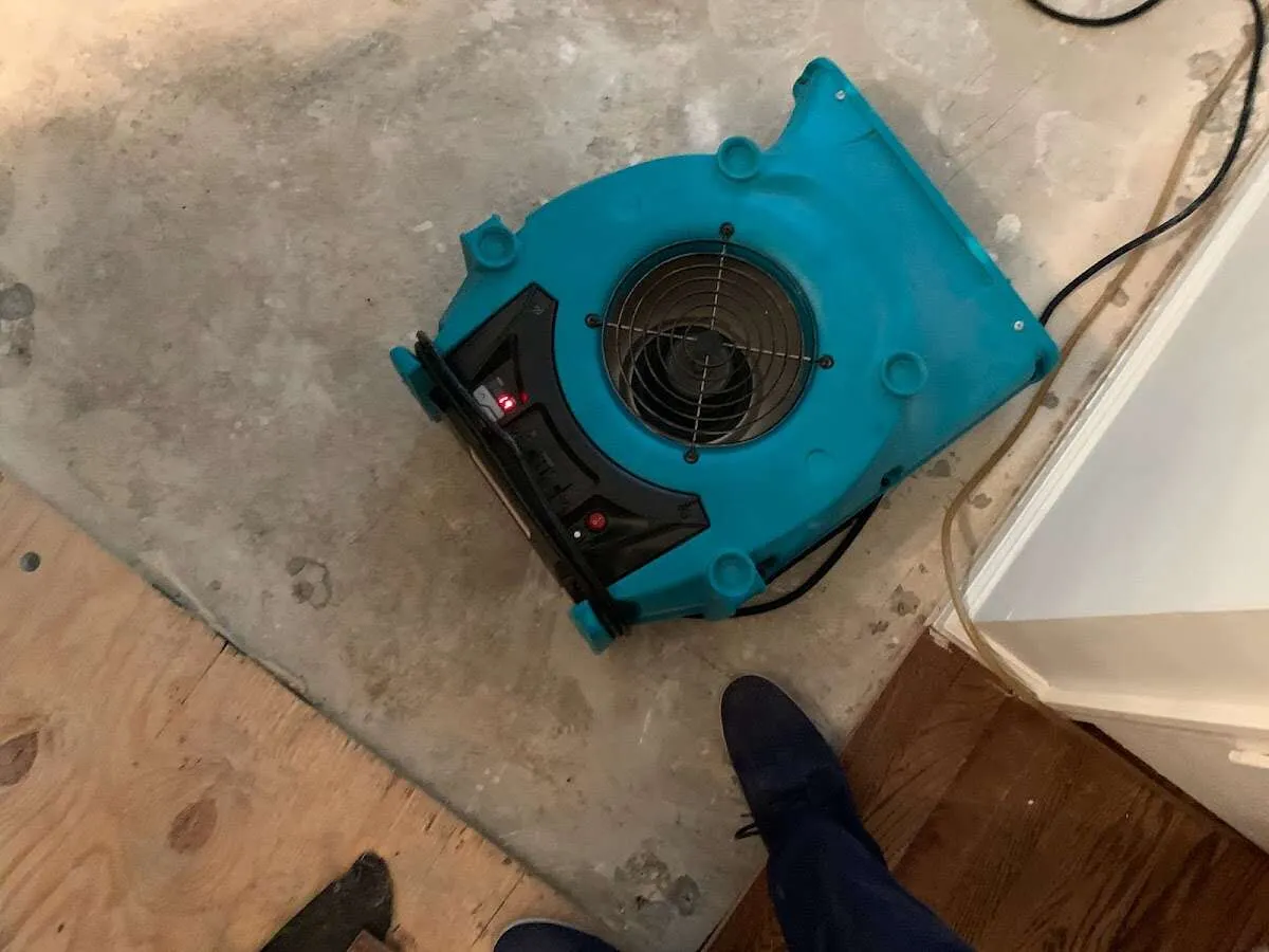 Air mover drying subfloor during Leak Detection & Repair in Giddings